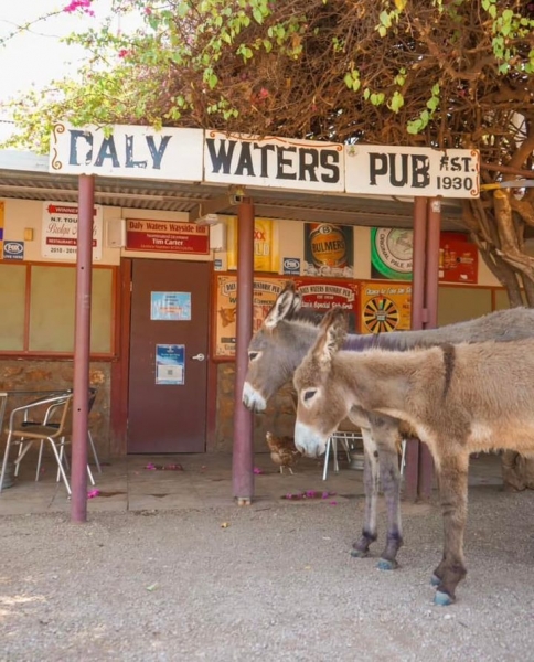 Daly Waters Pub